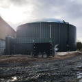 Tecnología del Reino Unido Digestor de alto nivel para planta de biogás con planta de energía de biogás